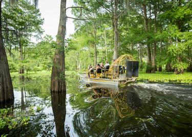 A yellow airboat zips through a swamp in Louisiana on a cloudy day.