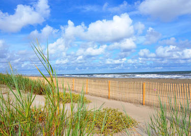 Grand Isle Beach in Jefferson Parish