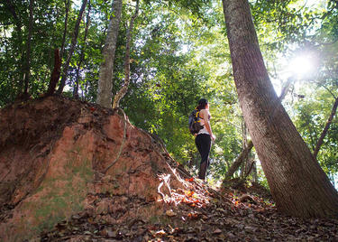Hiking in Tunica Hills Wildlife Management Area louisiana