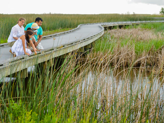 What's below our feet?!