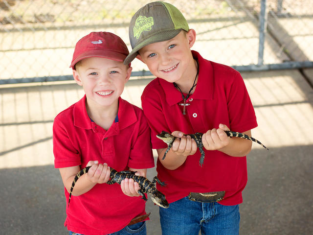 Hold a baby gator at the Gator Chateau!