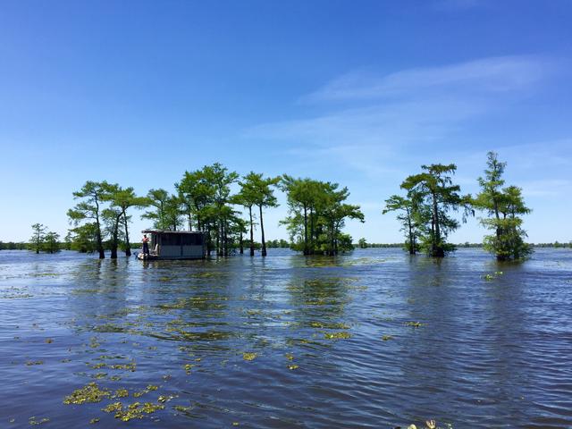 Houseboat in Henderson Swamp