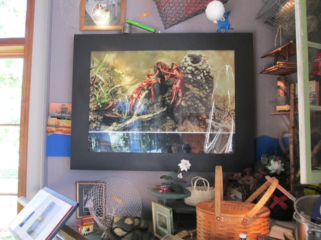 Picture of one of the many exhibits in the center