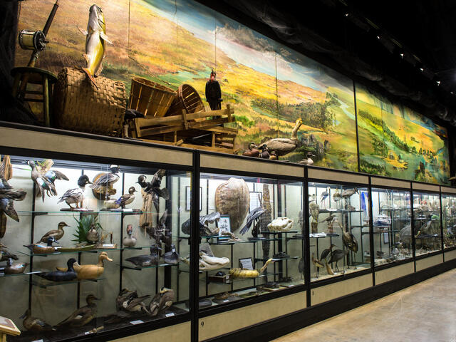 Exhibits at the Lafitte's Barataria Museum