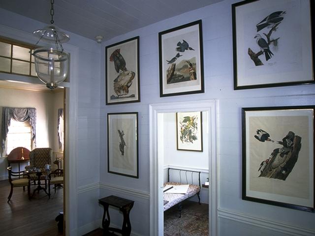 Examples of Audubon's works, inspired by his visit to the area in the early 1800s.