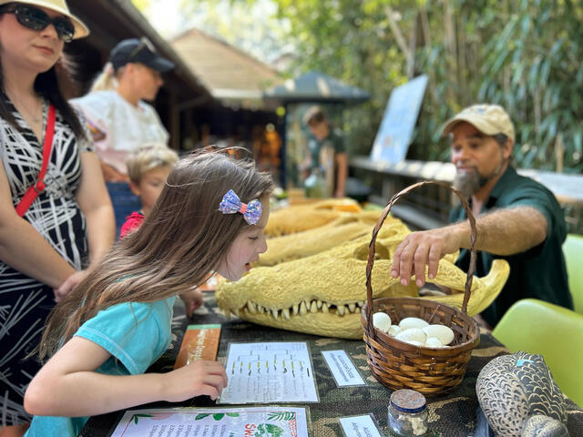 Bring your wild things to explore with ours, at the Audubon Zoo in New Orleans! Photo 4