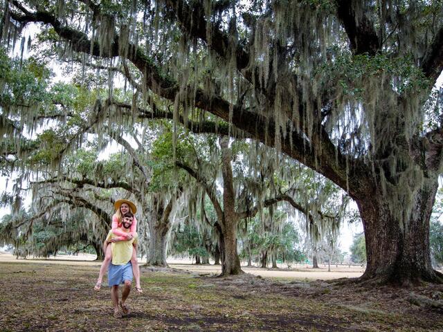 Fontainebleau State Park, Mandeville. Explore the 2,800 acre, waterfront state park.