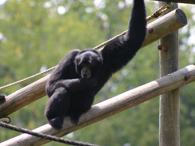 Louisiana Purchase Gardens & Zoo Photo