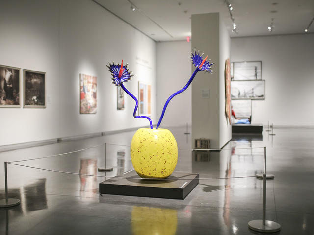 LSU Museum of Art Photo 4