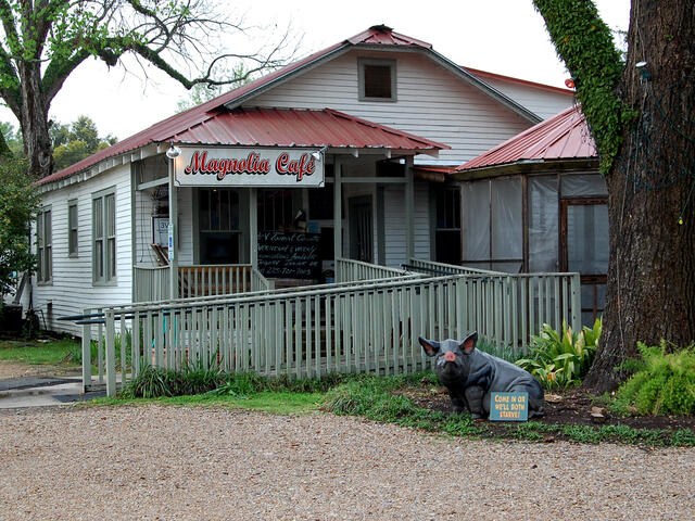 Magnolia Cafe Photo
