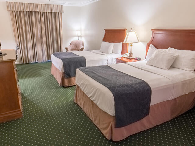 Deluxe Two Bedded Room