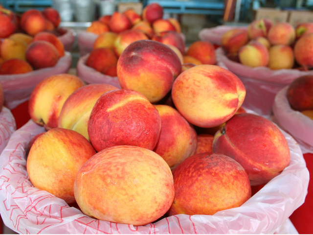 Mitcham Farm Peaches