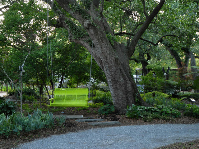 New Orleans City Park Photo 4