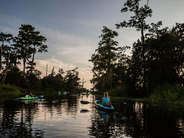 Kayak Swamp Tours