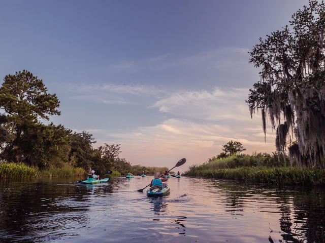 Kayak Swamp Tours