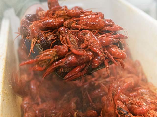 Louisiana Boiled & Raised