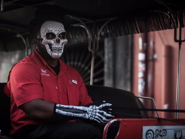 The most popular carriage tour to take is our History & Haunts Spooky Nighttime Carriage Tour of the French Quarter.