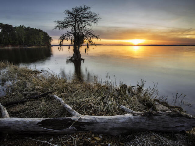 View of Toledo Bend Lake from Cypress Bend Resort