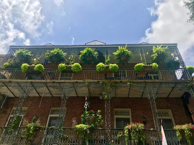 French Quarter balconies visible while leisurely strolling.