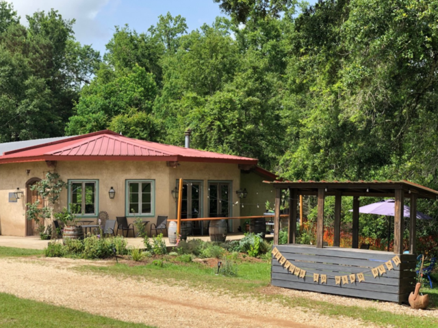 Wild Bush Farm + Vineyard Photo 4