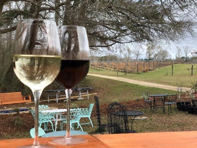 Wild Bush Farm + Vineyard Photo