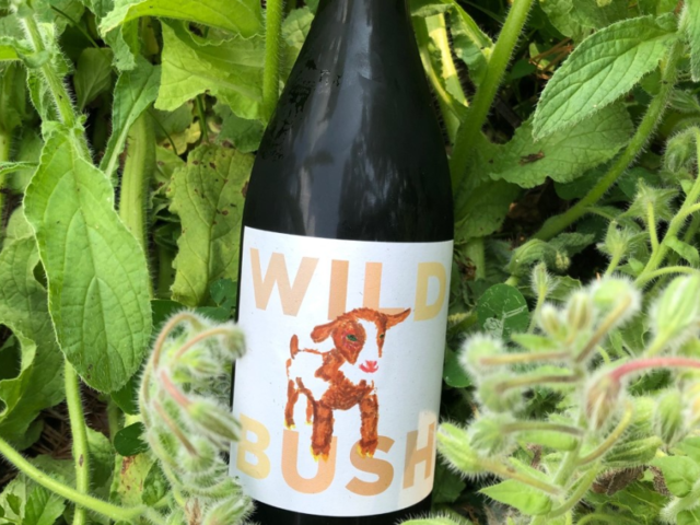 Wild Bush Farm + Vineyard Photo 2