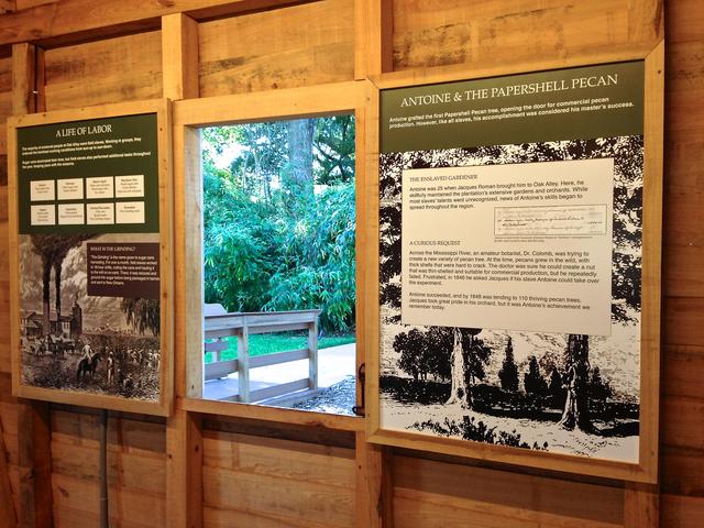 Oak Alley Plantation Photo 3