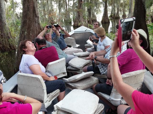 something interesting here