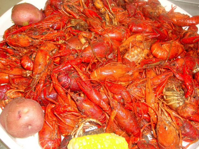 Boiled crawfish