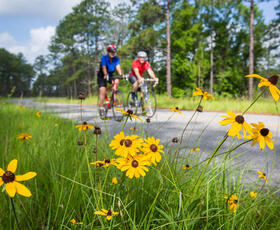 Biking through Kisatchie National Forest