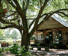 One of the historic buildings at Jean Lafitte National Historical Park Acadian Cultural Center, partially hidden by a large, barren tree.