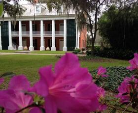Shadows on the Teche in New Iberia