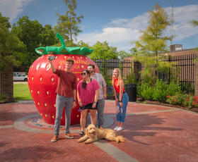 Ponchatoula Strawberry Statue
