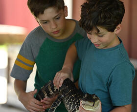 Insta-Gator Ranch &amp; Hatchery