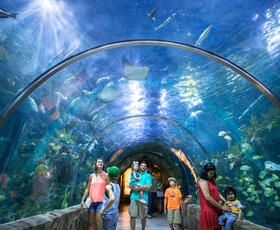 Families enjoy walking through the underwater dome at the Audubon Aquarium in New Orleans, Louisiana.