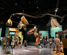 Audubon Insectarium