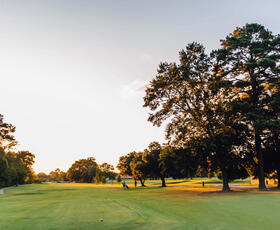Sunset view at Oak Harbor Golf Club with golden light shining through trees.