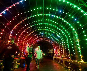 A brightly lit arched walkway during Christmas in Roseland, Louisiana.