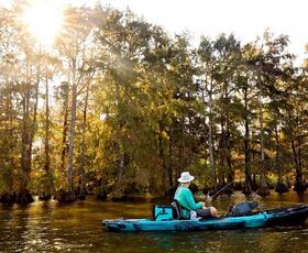 A person fishes from a kayak in a swamp.