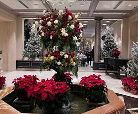 The Royal Sonesta entrance features several bedazzled trees.