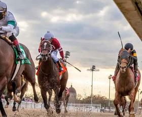Horses race at the Fair Grounds Race Course &amp; Slots in New Orleans.