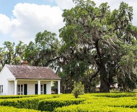 Evergreen Plantation