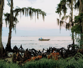 Image of a swamp in Louisiana