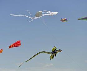 Kites flying in the sky at Kite Fest Lousiane'.