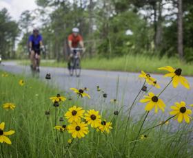 Cyclists bike among blooming wildflowers in Louisiana.