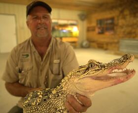 A smiling man holds a baby alligator towards the camera at Greenwood Gator Farm.