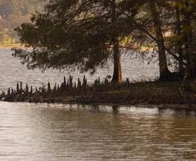 North Toledo Bend State Park