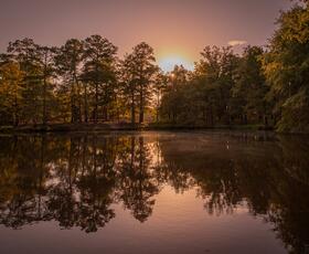 The sun sets behind tall trees reflecting on a calm pond in a peaceful forest in Chemin-A-Haut State Park.