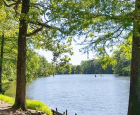 A wooden bench sits beneath leafy trees overlooking a peaceful lake on a sunny day.