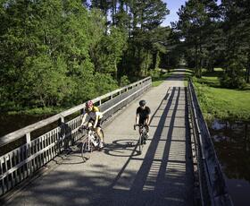 Two cyclists ride across a wooden bridge on the Tammany Trace trail, surrounded by green trees and water below on a sunny day.
